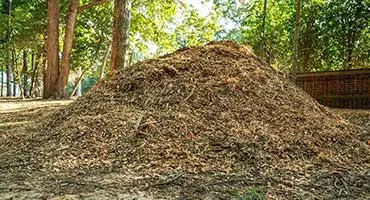 woodchips